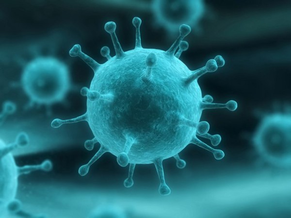 Virus gripa i nije tako bezazlen kao što mislimo,evo par saveta kako da se zaštite od virusa