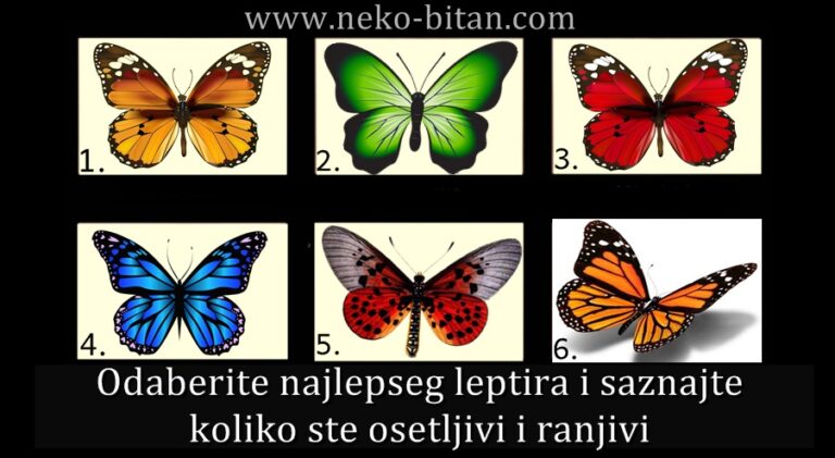 Odaberite najlepseg leptira i saznajte koliko ste osetljivi i ranjivi